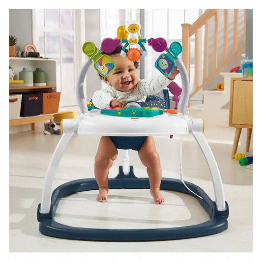 Fisher-Price Jumperoo Chair Seat & Baby Bouncer